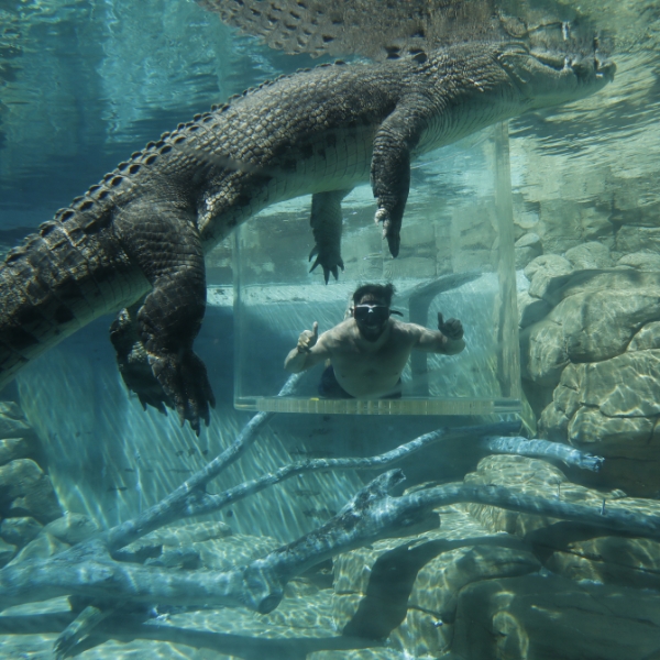 Crocosaurus Cove Darwin