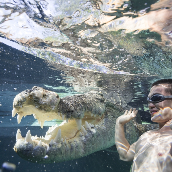 Crocosaurus Cove Darwin