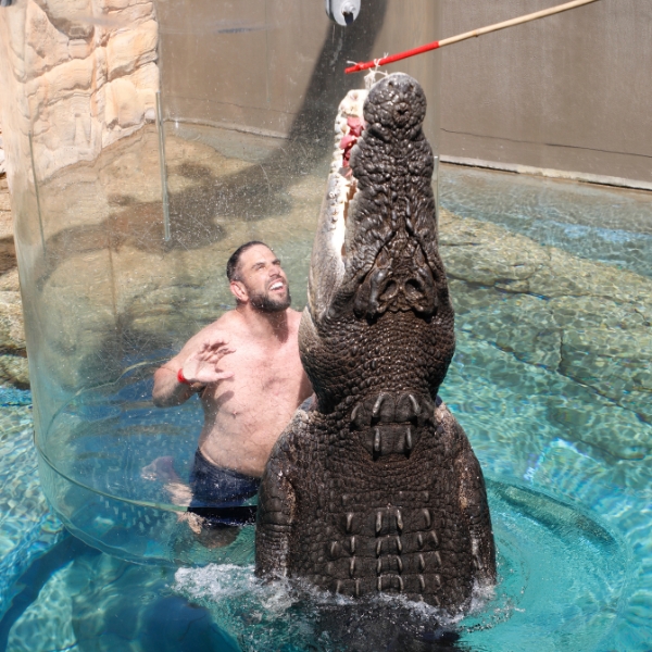 Crocosaurus Cove Darwin