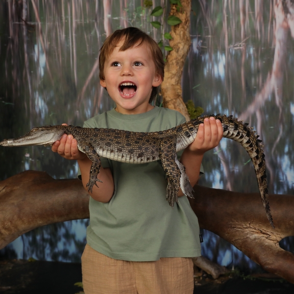 Crocosaurus Cove Darwin