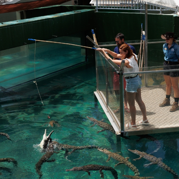 Crocosaurus Cove Darwin