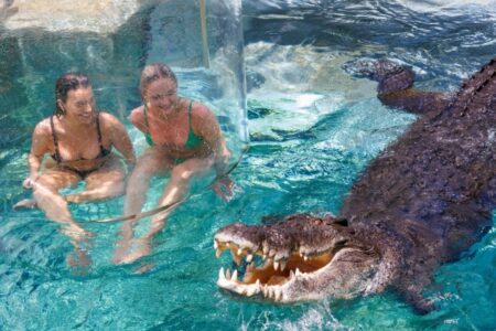 10 Unforgettable Wildlife Experiences Near Darwin