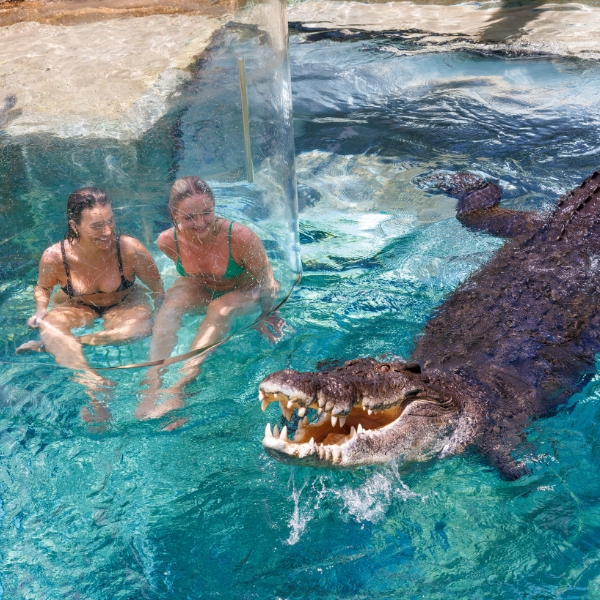 Crocosaurus Cove Darwin