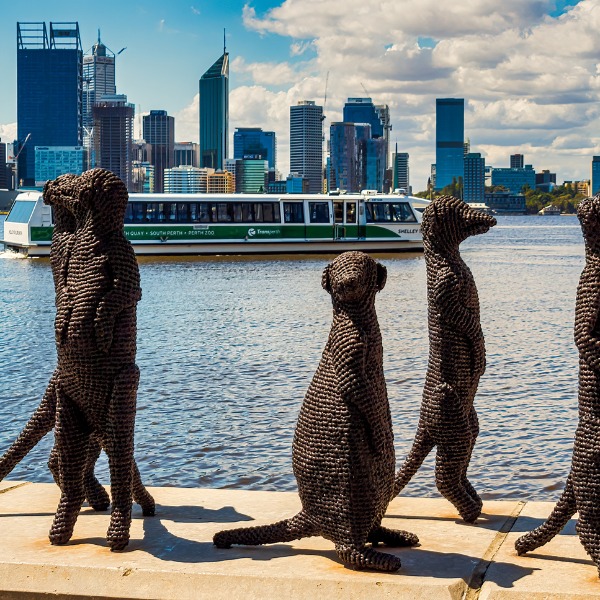 Perth Zoo Meerkat Statues