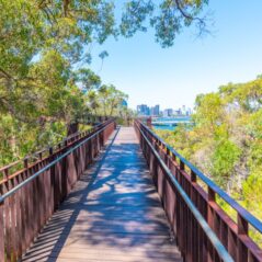 Kings Park Botanic Gardens Perth