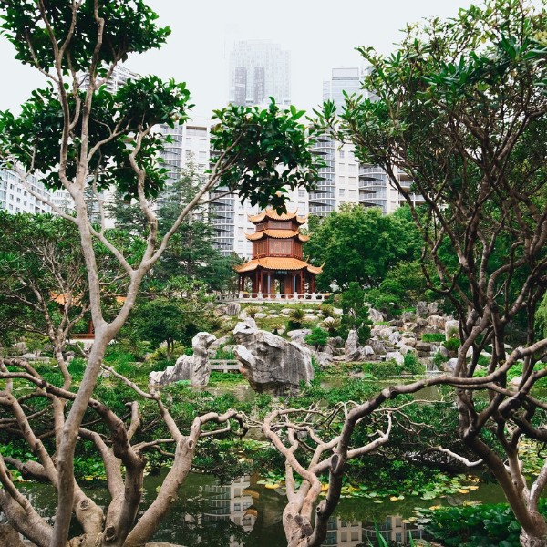 Chinese Garden of Friendship_Mandatory Credit Destination NSW